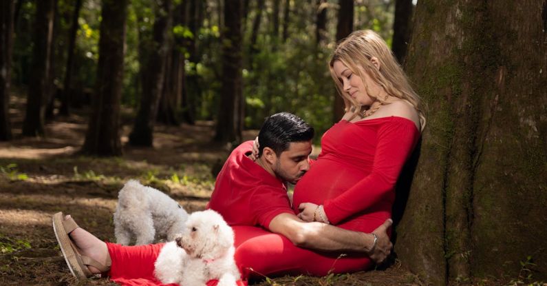 Anticipation - A pregnant woman and her husband are sitting in the woods with their dog